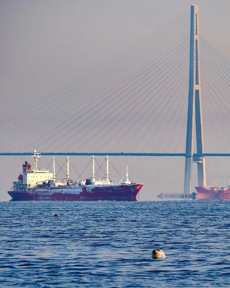 Завершилась морская часть учений России и Индии «Индра-2026»