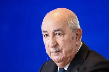 Алжир направит войска в Нигер для защиты энергоинтересов